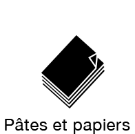 Pâte et papier
